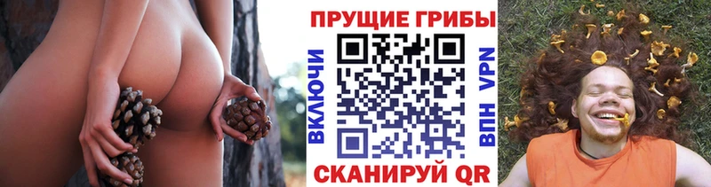 Галлюциногенные грибы GOLDEN TEACHER  Щёлково 